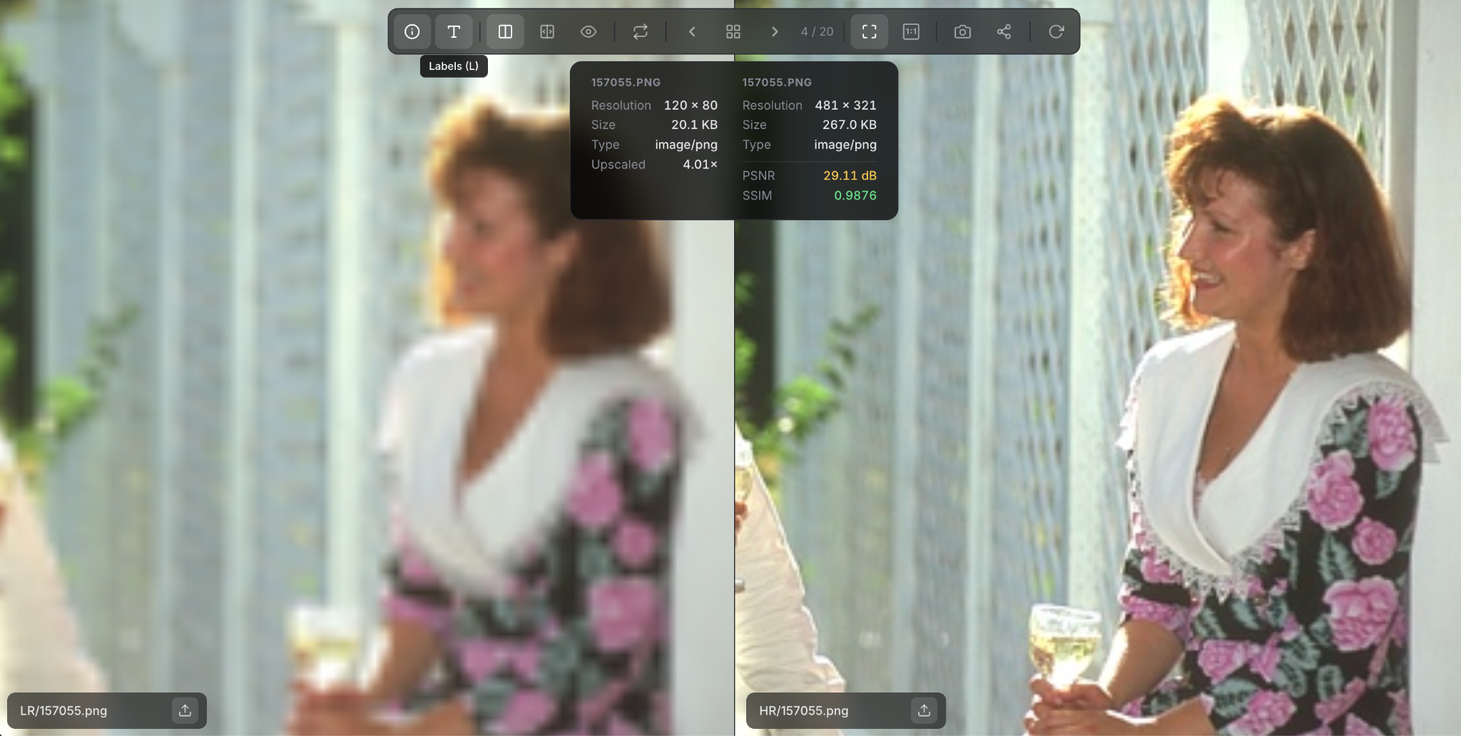 TwinLens Info panel showing image dimensions and comparison metrics for an HR/LR image pair