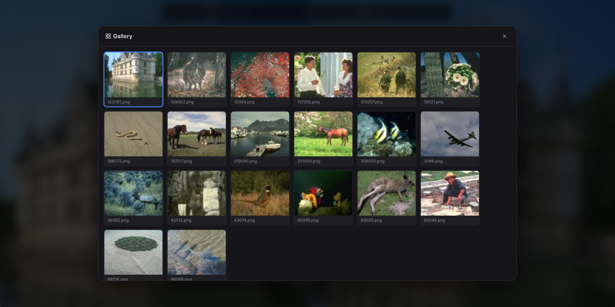 TwinLens side-by-side folder comparison with gallery view showing image pair thumbnails